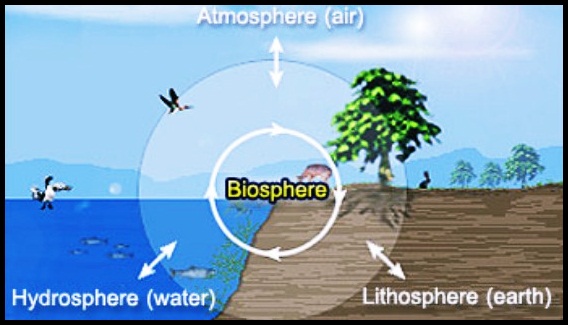 Fenomena Biosfer