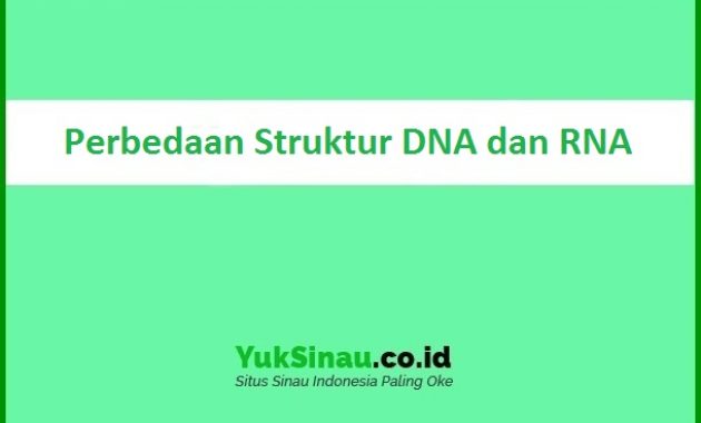 Perbedaan Struktur DNA dan RNA