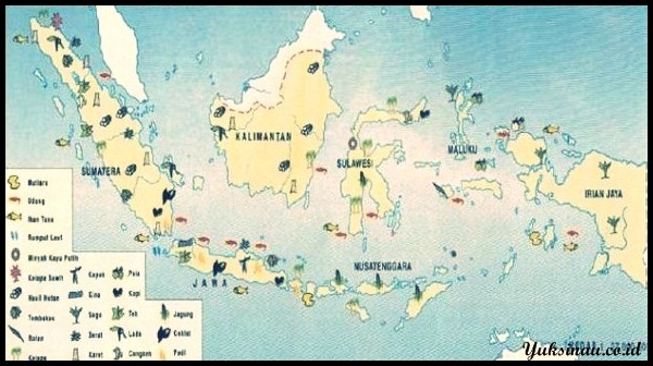 Peta Persebaran Flora di Indonesia