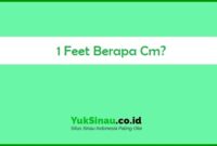 1 Feet Berapa Cm