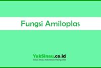 Fungsi Amiloplas
