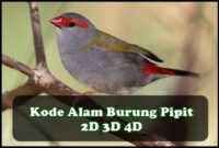 Kode Alam Burung Pipit