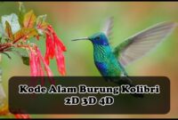 Kode Alam Burung kolibri