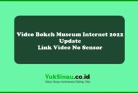 Video Bokeh Museum Internet 2022 Update Link Video No Sensor