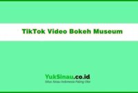 TikTok Video Bokeh Museum