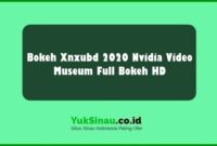 Bokeh Xnxubd 2020 Nvidia Video Museum Full Bokeh HD