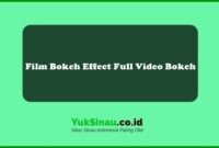 Film Bokeh Effect Full Video Bokeh
