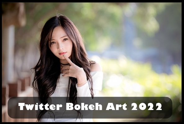 Twitter Bokeh Art 2022
