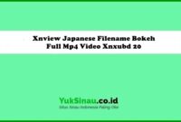 Xnview Japanese Filename Bokeh Full Mp4 Video Xnxubd 20