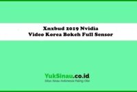 Xnxbud 2019 Nvidia Video Korea Bokeh Full Sensor