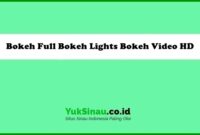 Bokeh Full Bokeh Lights Bokeh Video HD