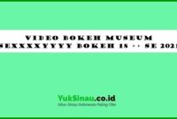 Video Bokeh Museum Sexxxxyyyy Bokeh 18 ++ Se 2021